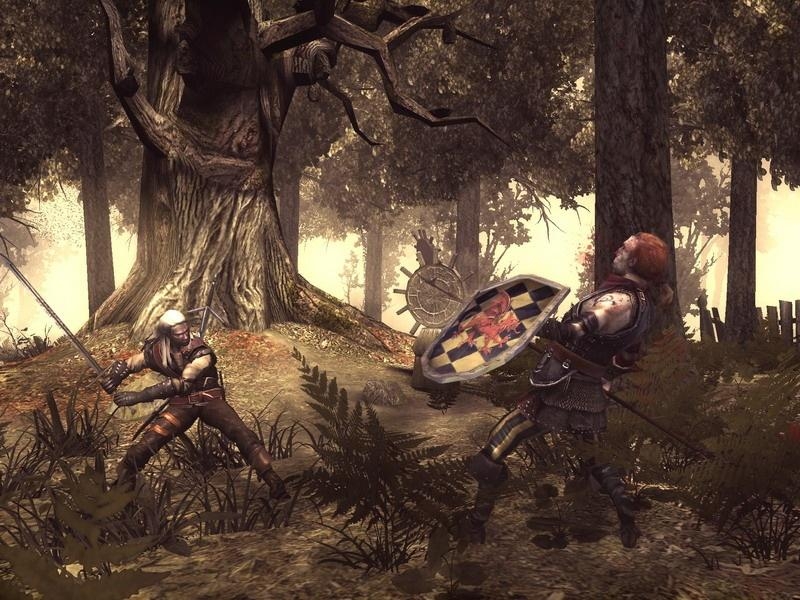 Скриншот из игры Witcher под номером 4