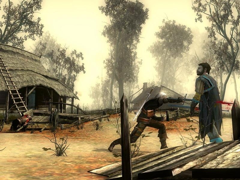 Скриншот из игры Witcher под номером 7