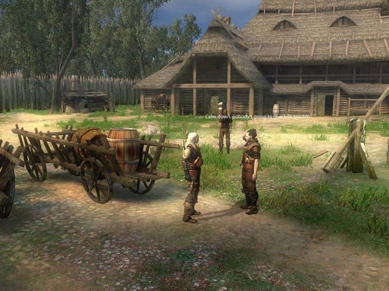 Скриншот из игры Witcher под номером 8