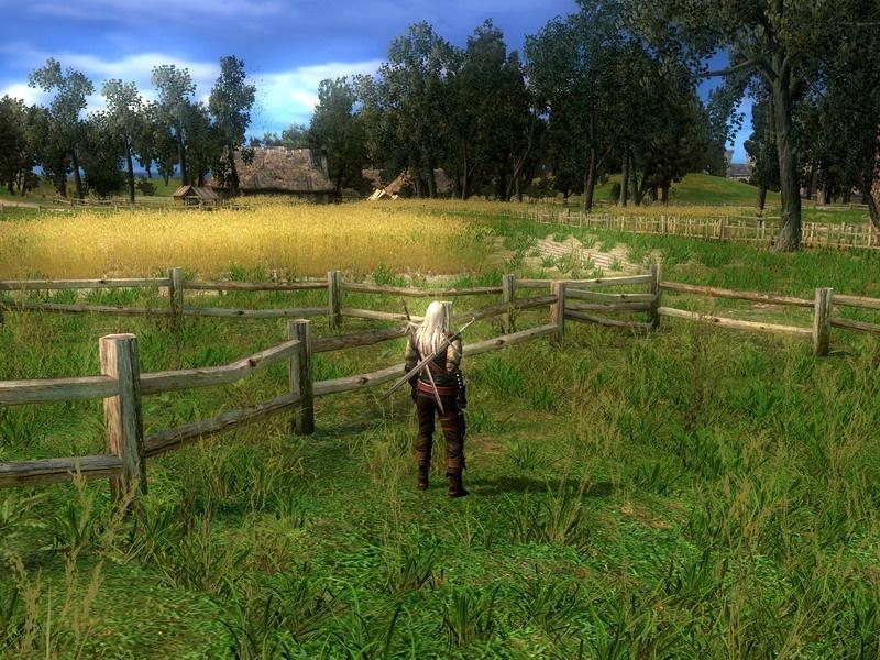 Скриншот из игры Witcher под номером 9