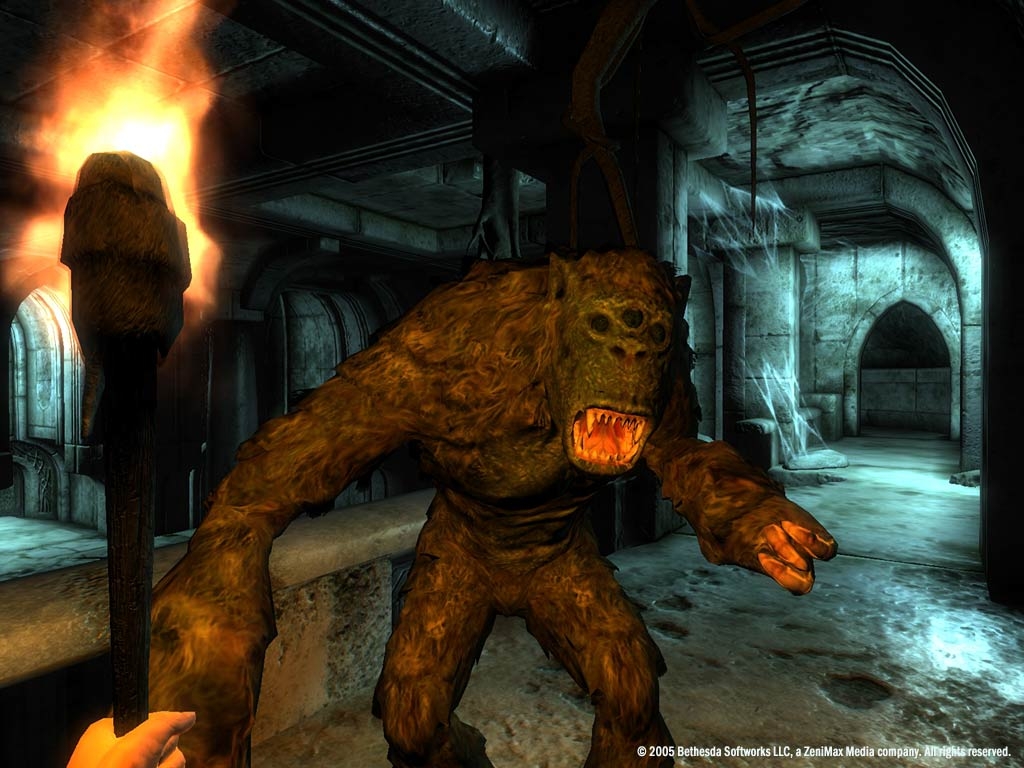 Скриншот из игры The Elder Scrolls 4: Oblivion под номером 10