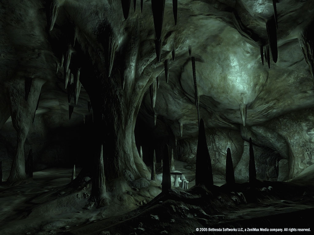 Скриншот из игры The Elder Scrolls 4: Oblivion под номером 6
