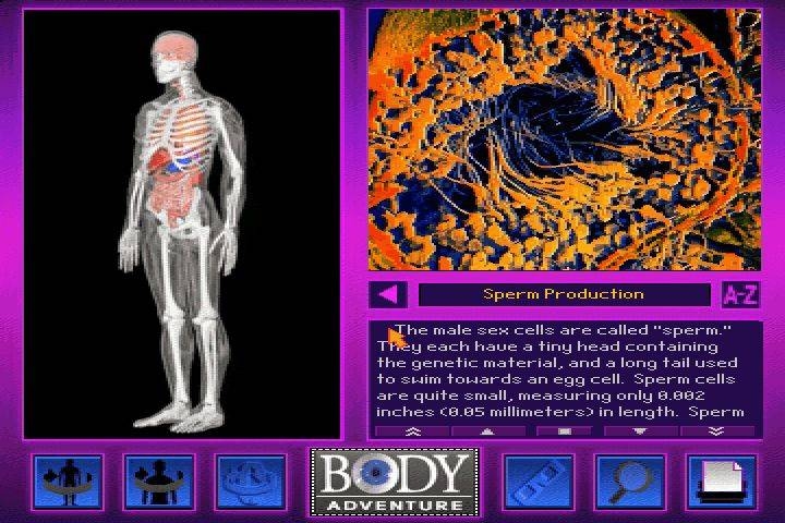 Скриншот из игры 3D Body Adventure под номером 6