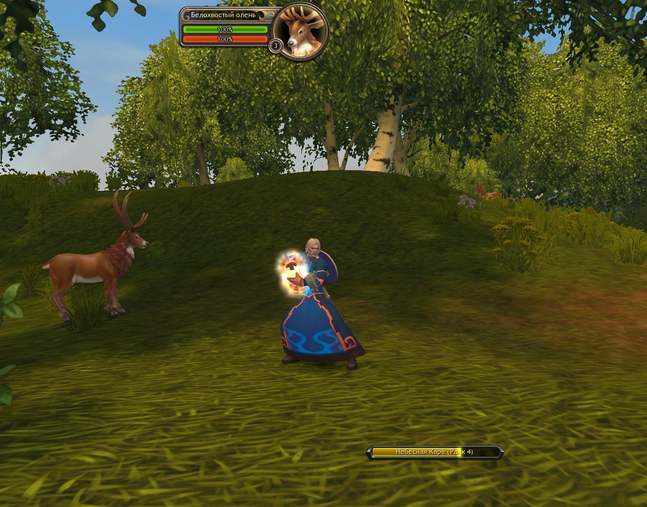 Скриншот из игры Allods Online под номером 2