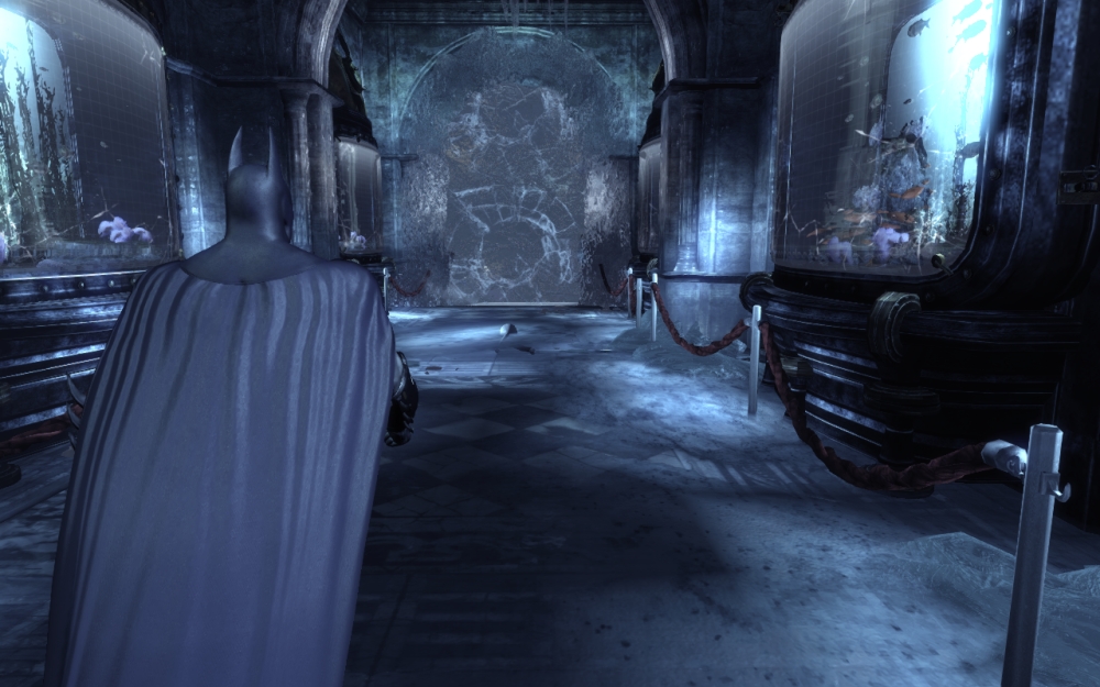 Скриншот из игры Batman: Arkham City под номером 173