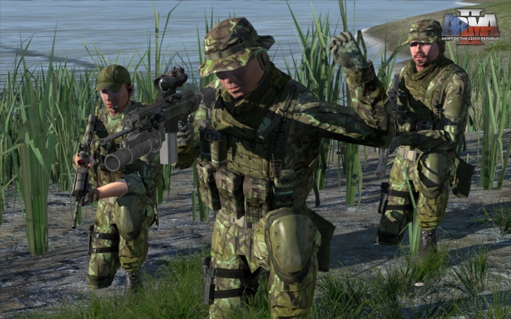Скриншот из игры ArmA 2: Operation Arrowhead под номером 21
