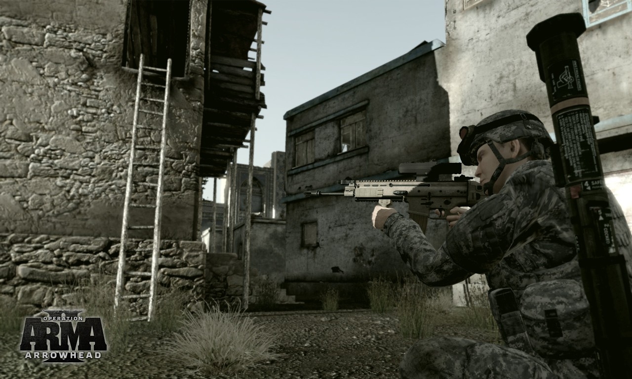Скриншот из игры ArmA 2: Operation Arrowhead под номером 5
