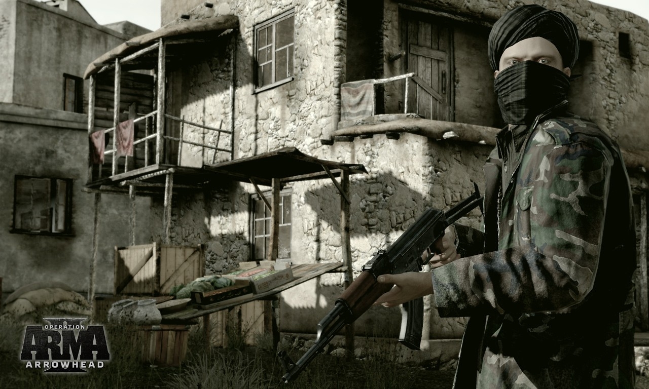 Скриншот из игры ArmA 2: Operation Arrowhead под номером 8