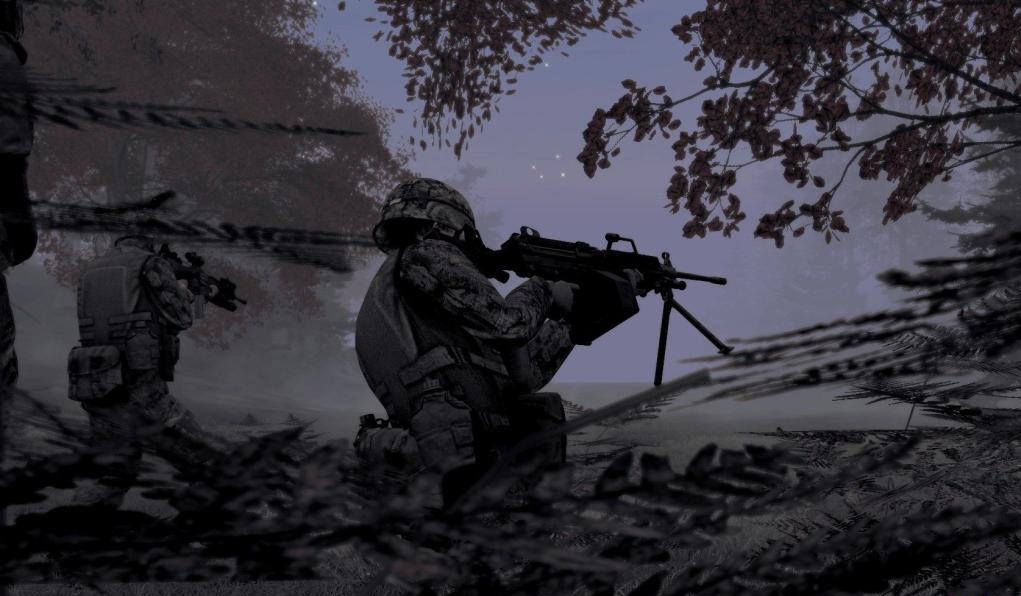 Скриншот из игры Armed Assault 2 под номером 28