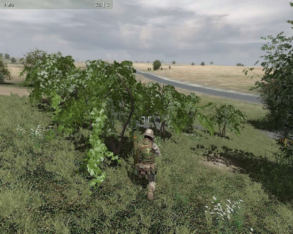 Скриншот из игры ArmA: Armed Assault под номером 23