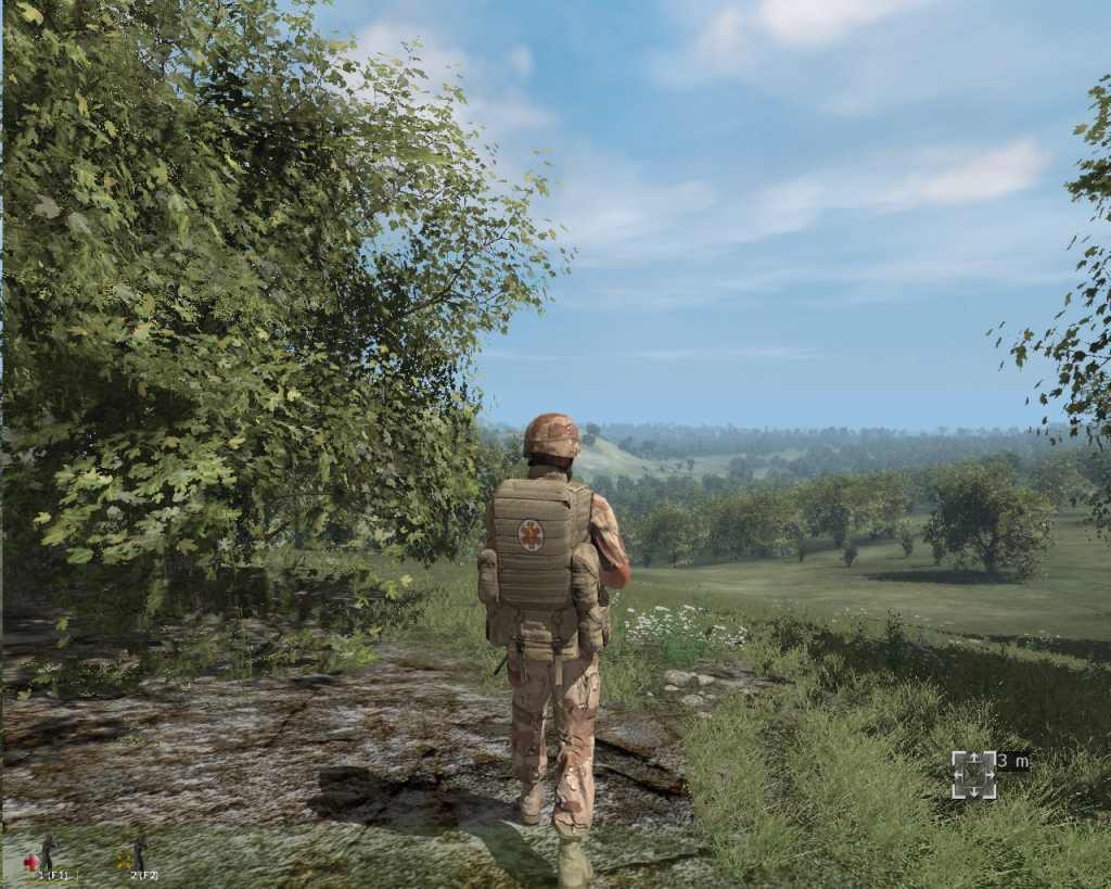 Скриншот из игры ArmA: Armed Assault под номером 3