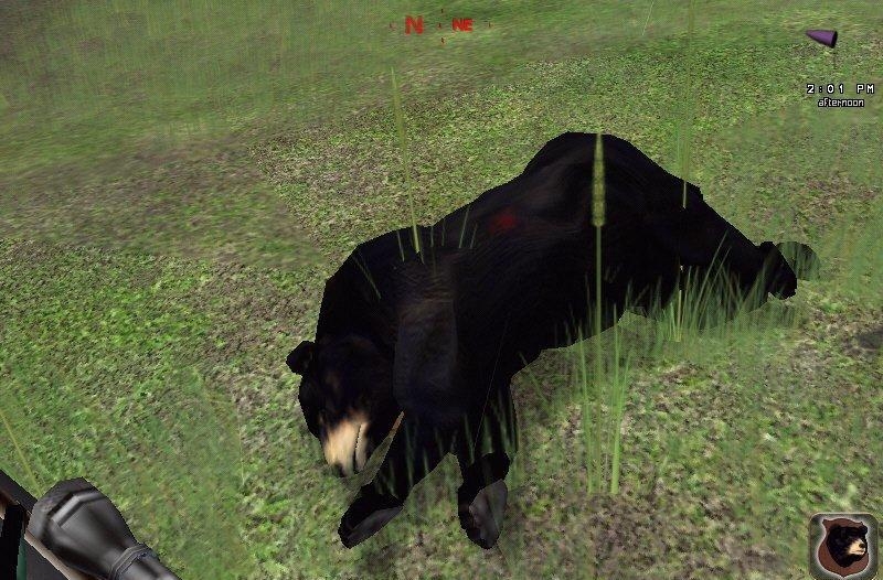 Скриншот из игры Trophy Hunter 2003: Rocky Mountain Adventures под номером 12