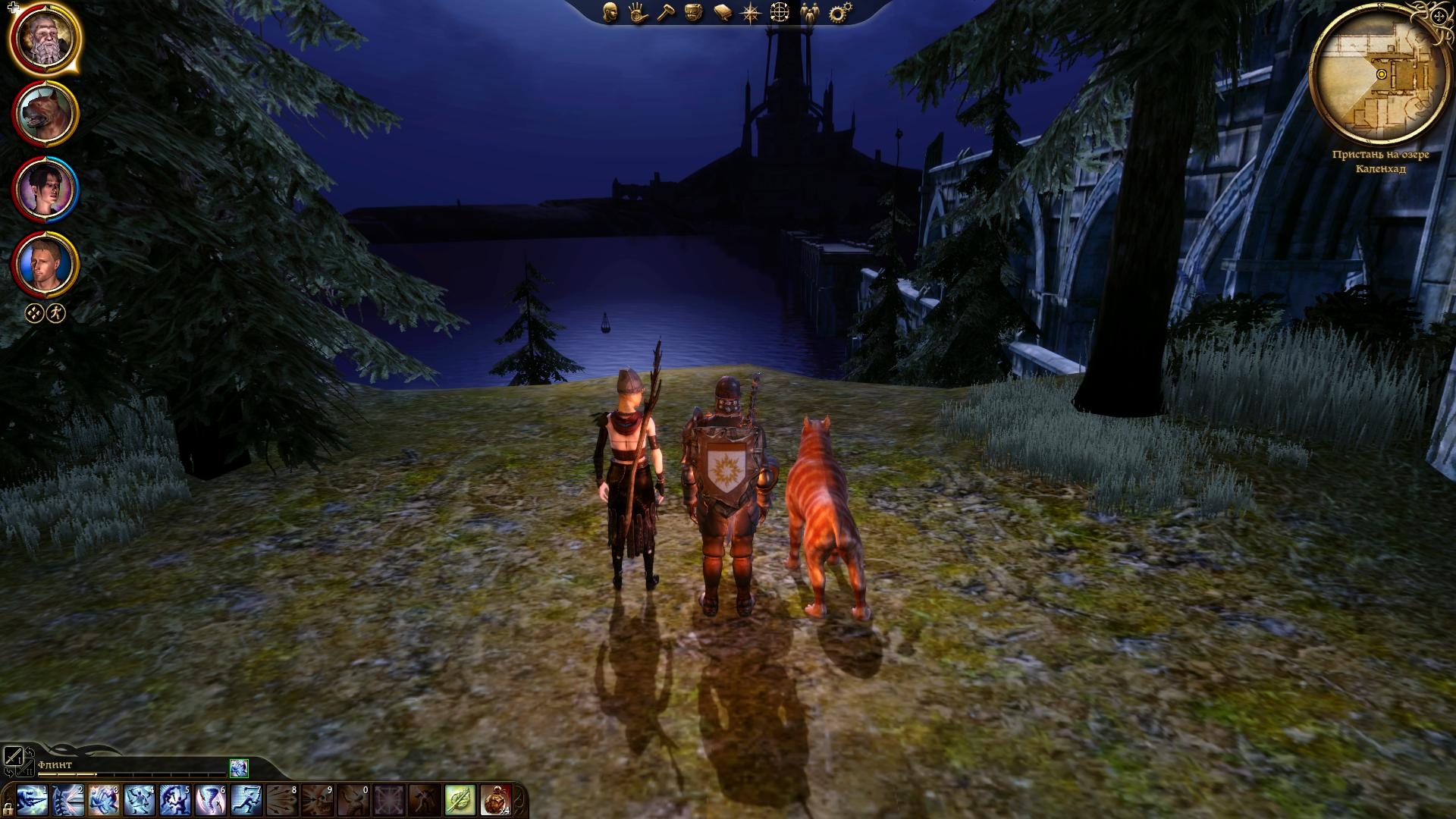 Скриншот из игры Dragon Age: Origins под номером 274