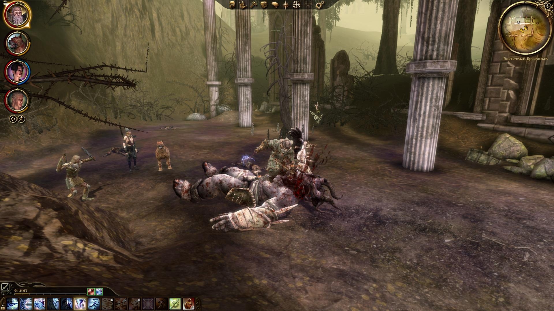 Скриншот из игры Dragon Age: Origins под номером 276