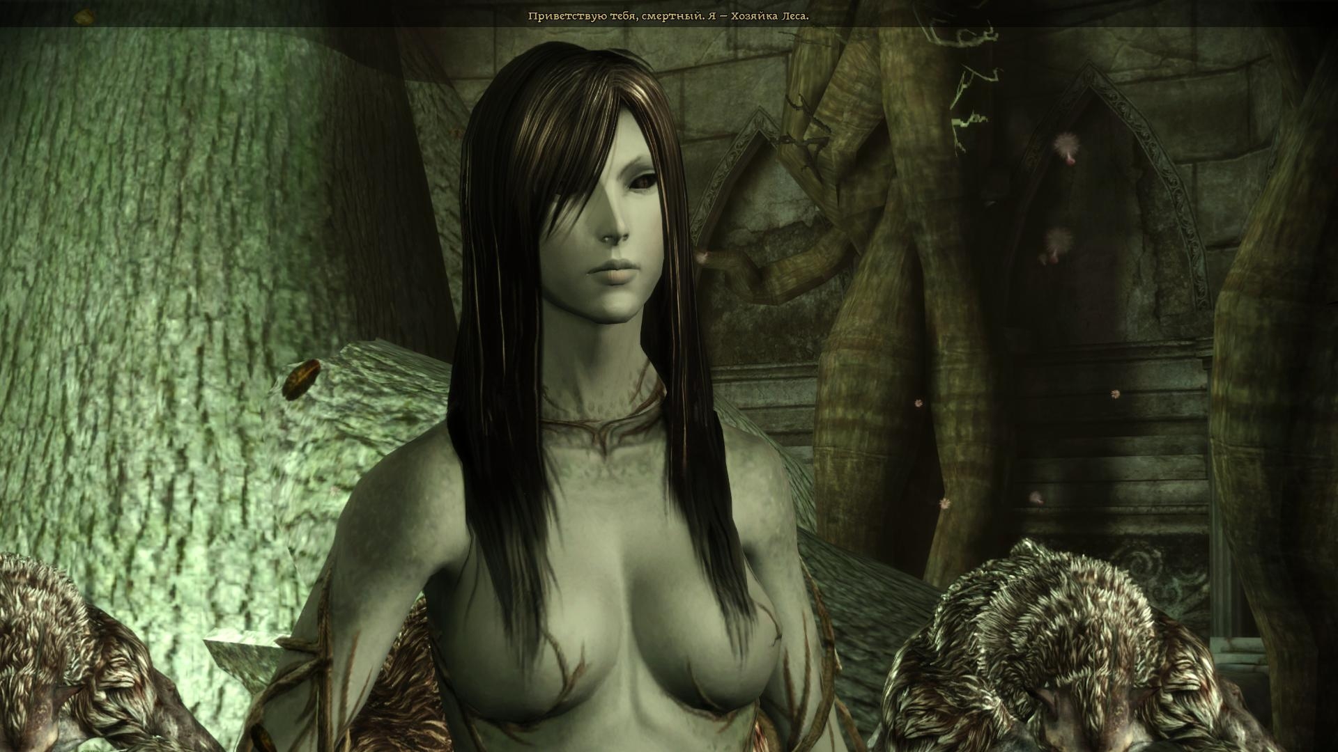 Скриншот из игры Dragon Age: Origins под номером 285
