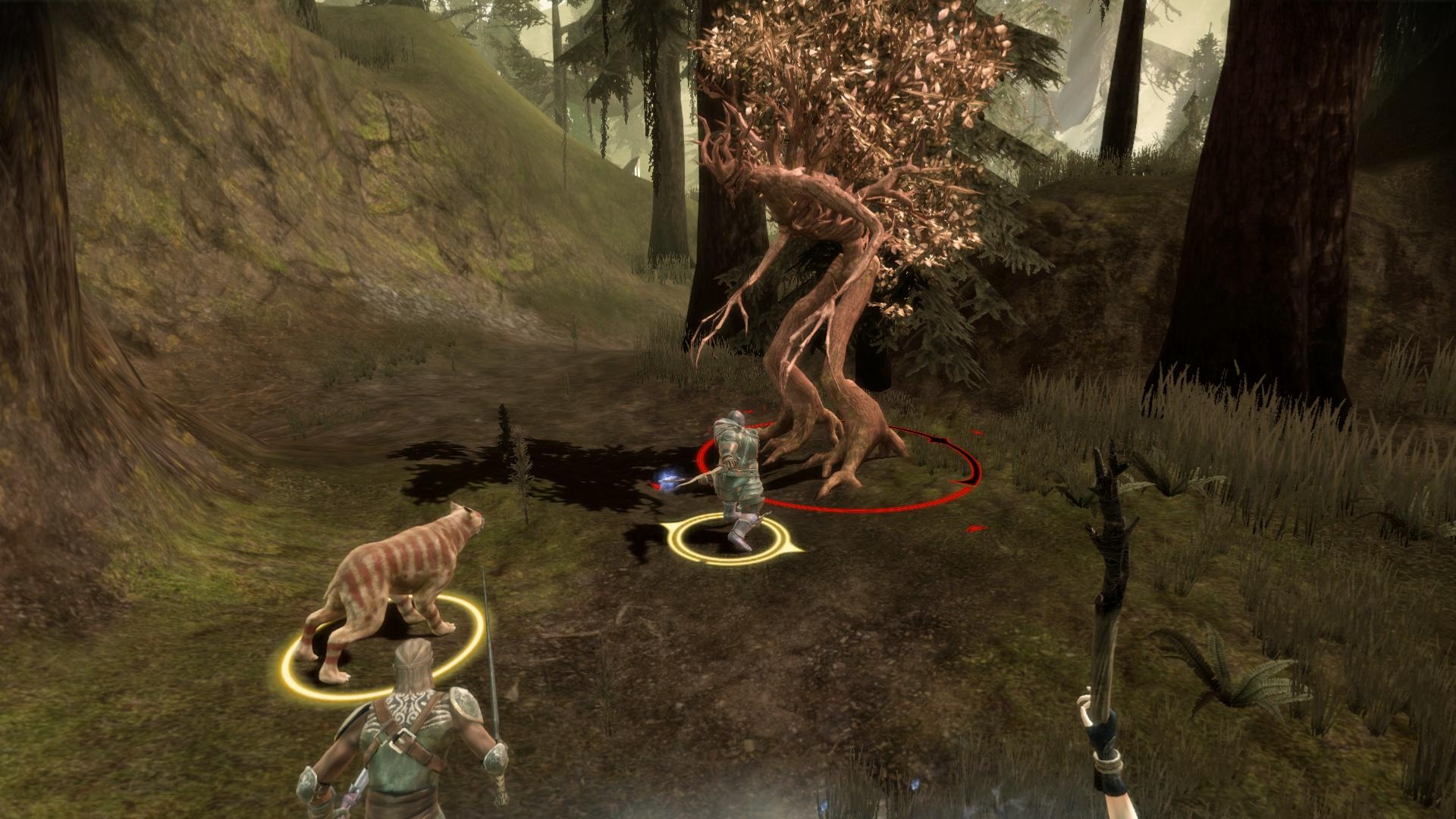 Скриншот из игры Dragon Age: Origins под номером 286