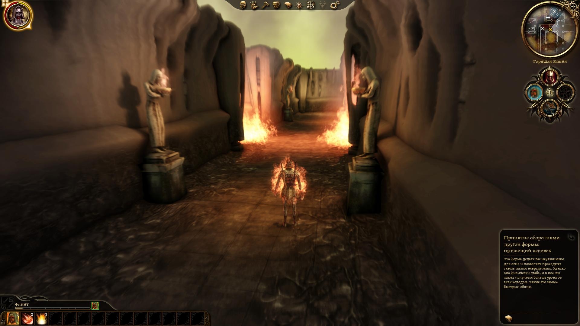 Скриншот из игры Dragon Age: Origins под номером 294