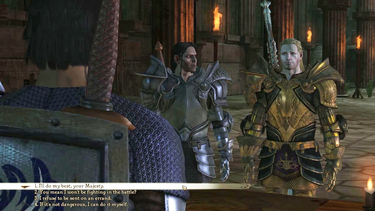 Скриншот из игры Dragon Age: Origins под номером 296