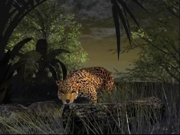 Скриншот из игры Mission: Amazonas под номером 1