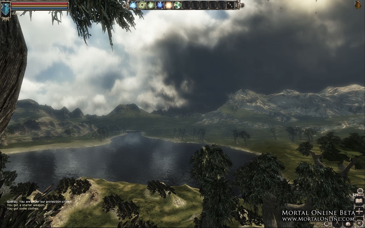 Скриншот из игры Mortal Online под номером 10