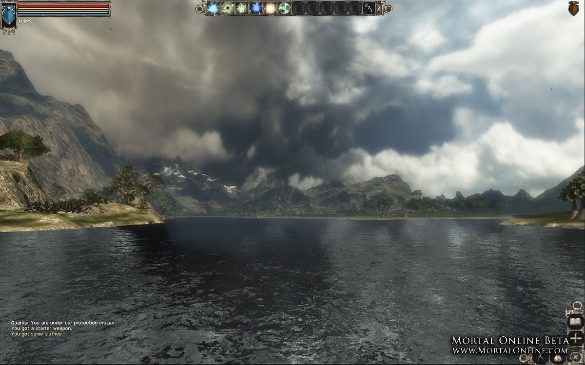 Скриншот из игры Mortal Online под номером 11