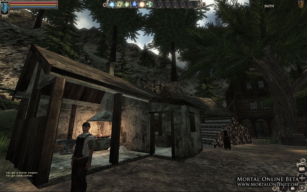 Скриншот из игры Mortal Online под номером 12