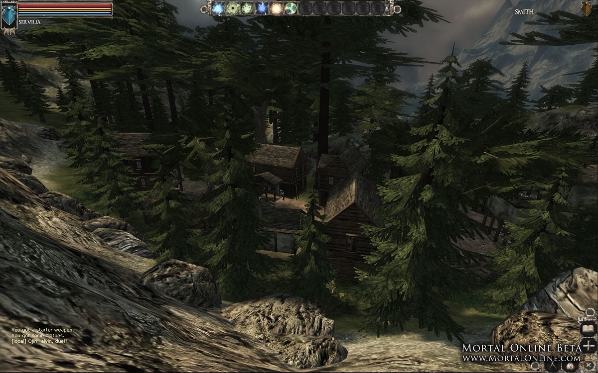 Скриншот из игры Mortal Online под номером 13