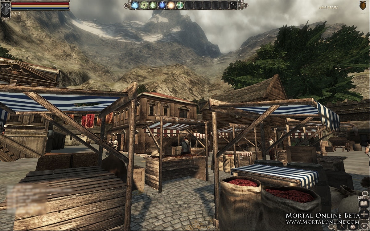 Скриншот из игры Mortal Online под номером 17