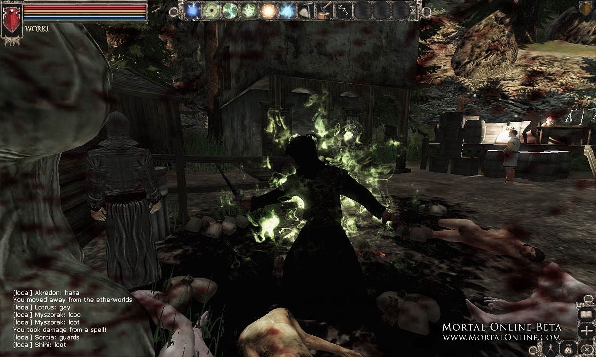 Скриншот из игры Mortal Online под номером 19