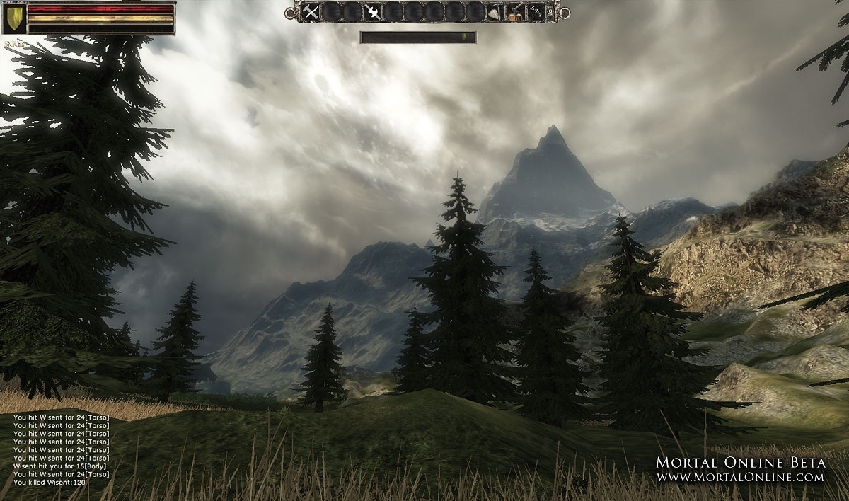 Скриншот из игры Mortal Online под номером 4