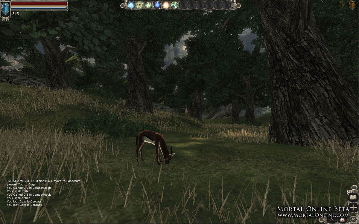 Скриншот из игры Mortal Online под номером 7