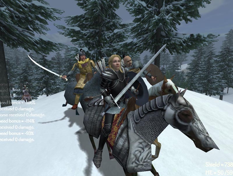 Скриншот из игры Mount & Blade под номером 16