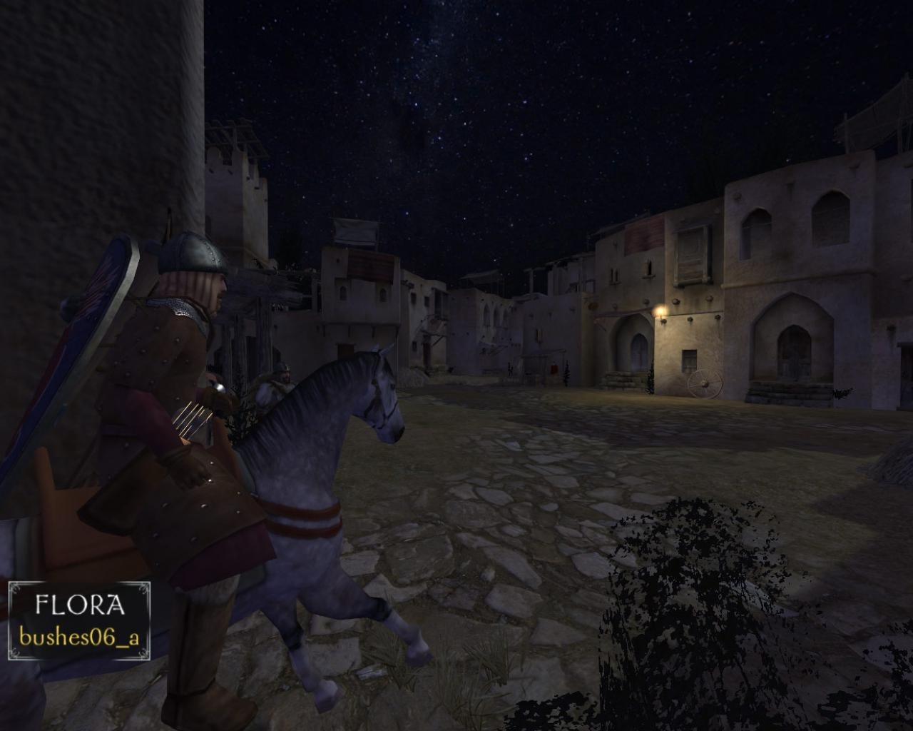 Скриншот из игры Mount & Blade под номером 44