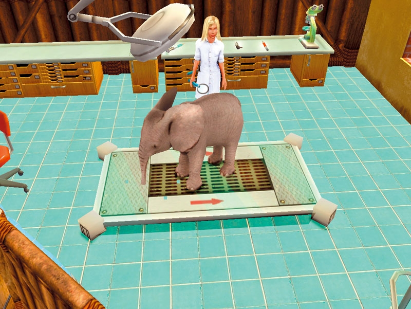 Скриншот из игры My Animal Center in Africa под номером 3