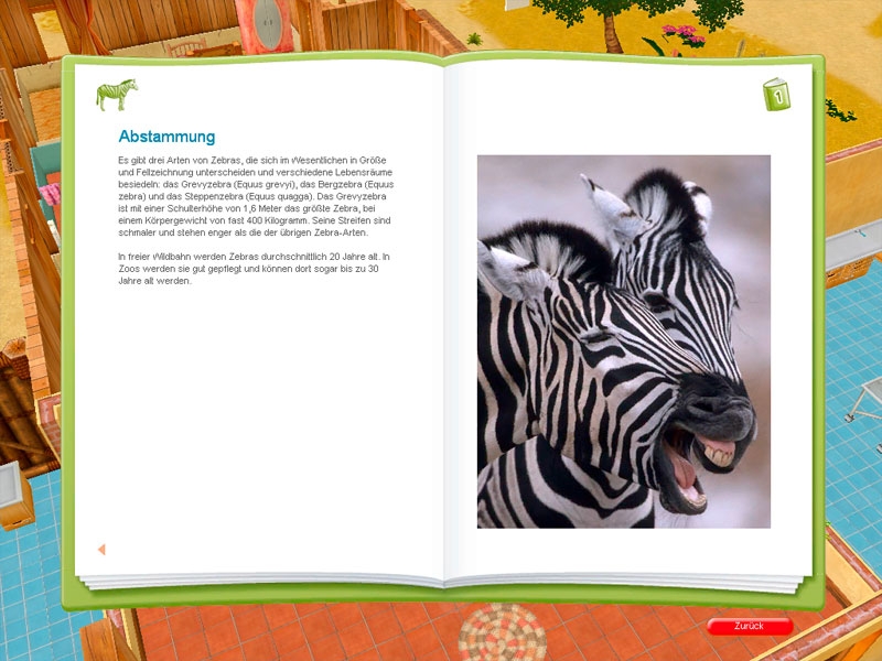 Скриншот из игры My Animal Center in Africa под номером 8