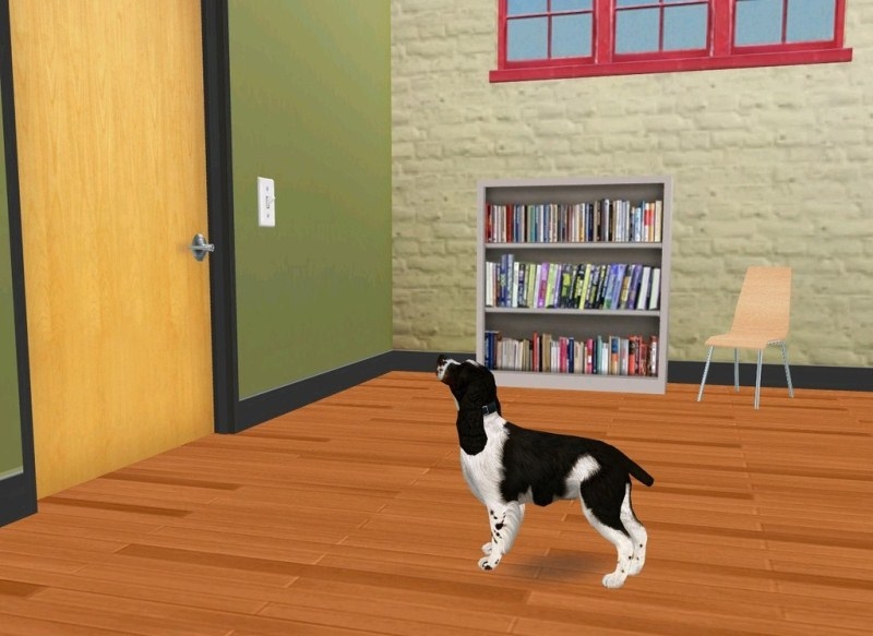 Скриншот из игры My Dog Coach: Understand Your Dog with Cesar Millan под номером 5