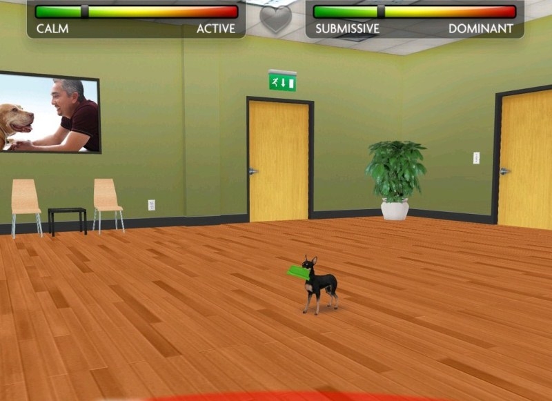 Скриншот из игры My Dog Coach: Understand Your Dog with Cesar Millan под номером 8