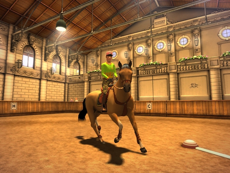 Скриншот из игры My Horse and Me под номером 3