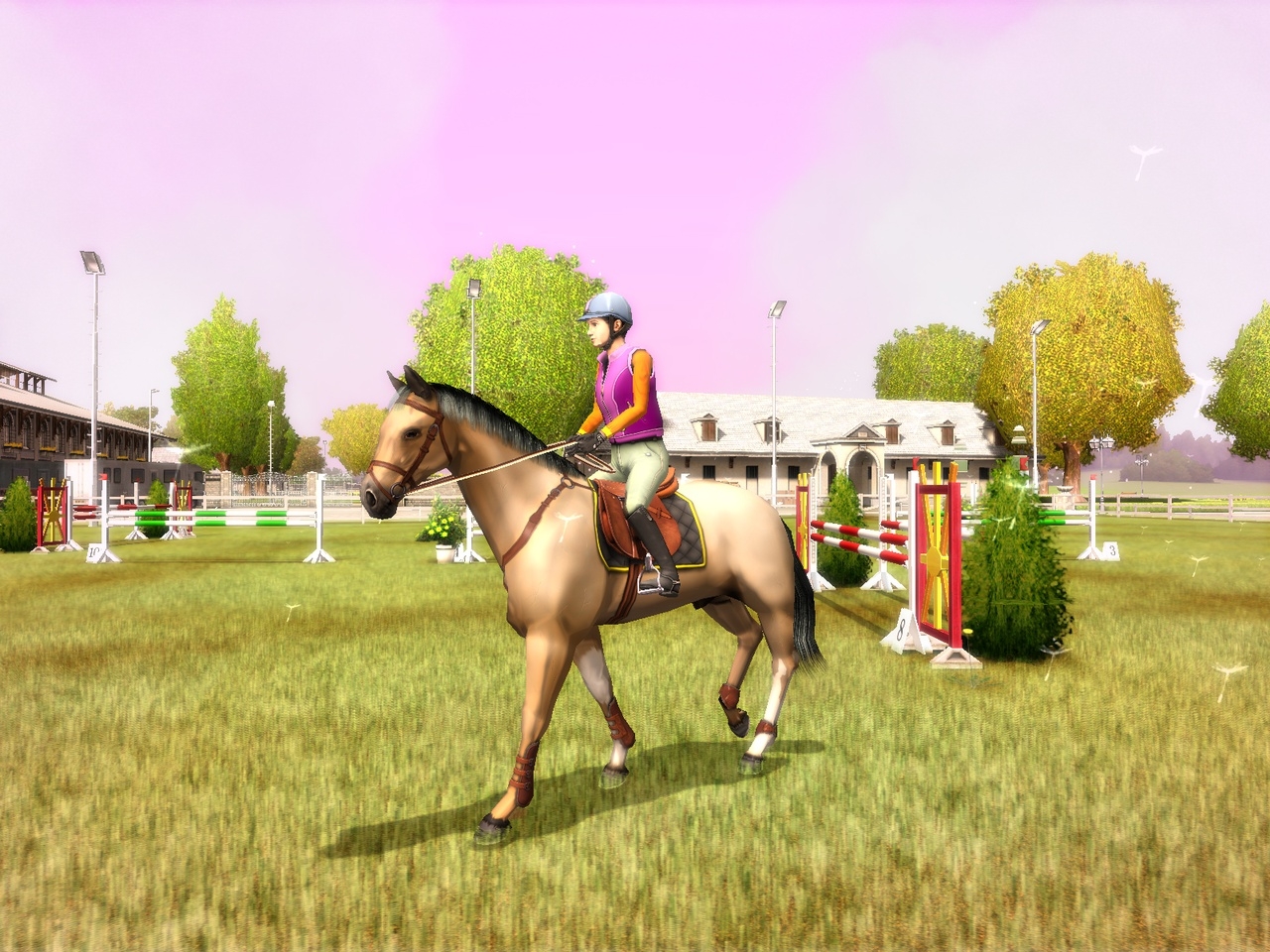 Скриншот из игры My Horse and Me под номером 9
