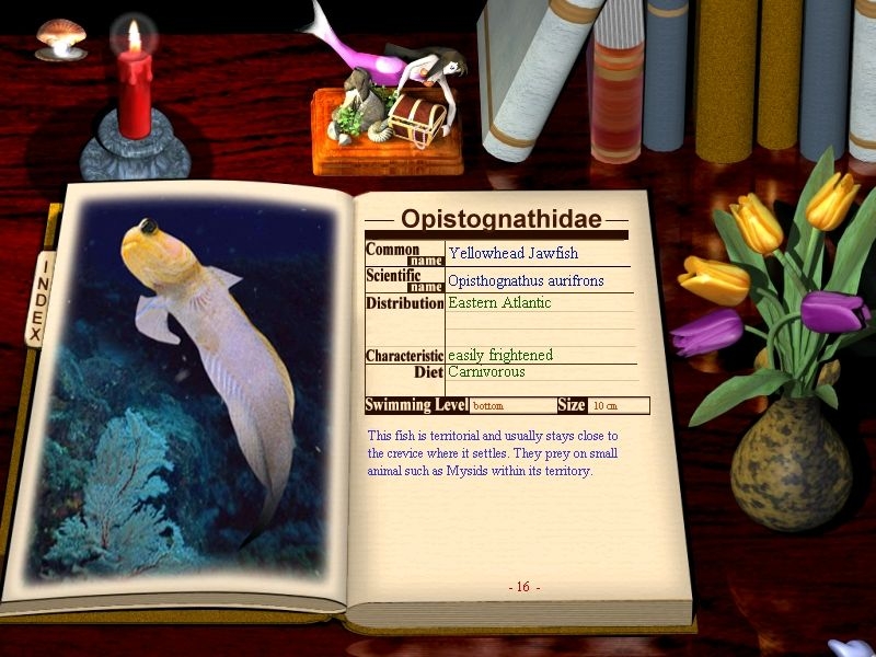 Скриншот из игры My Sim Aquarium под номером 2