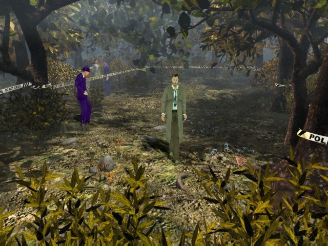 Скриншот из игры Mystery of the Druids под номером 12