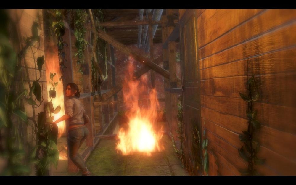 Скриншот из игры Far Cry 3 под номером 105