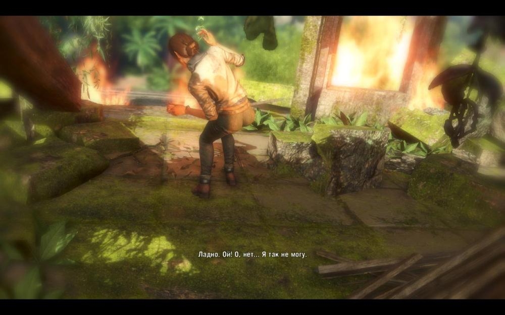 Скриншот из игры Far Cry 3 под номером 106