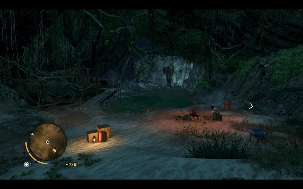 Скриншот из игры Far Cry 3 под номером 110