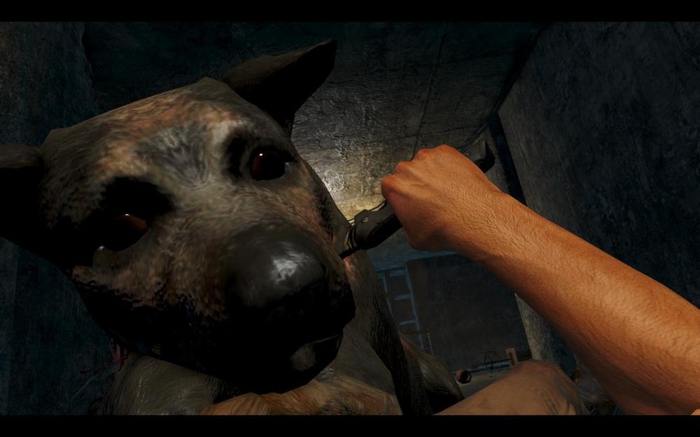 Скриншот из игры Far Cry 3 под номером 138
