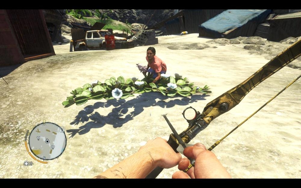 Скриншот из игры Far Cry 3 под номером 168