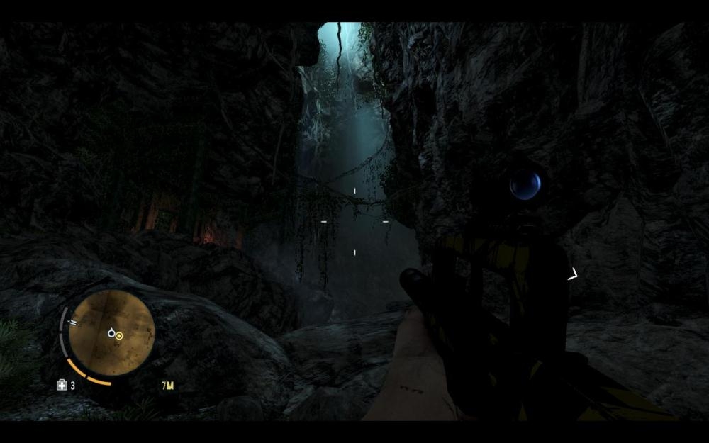 Скриншот из игры Far Cry 3 под номером 177