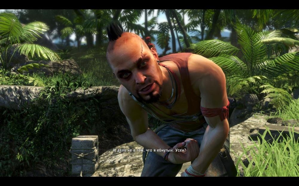 Скриншот из игры Far Cry 3 под номером 186