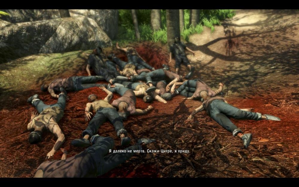 Скриншот из игры Far Cry 3 под номером 188
