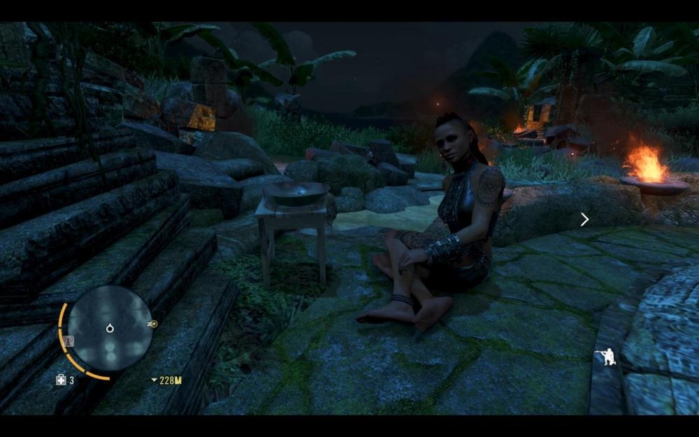 Скриншот из игры Far Cry 3 под номером 206